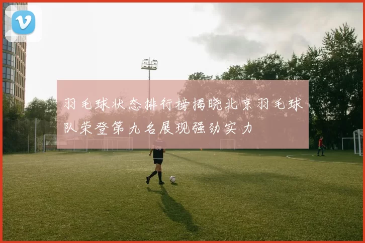 羽毛球状态排行榜揭晓北京羽毛球队荣登第九名展现强劲实力