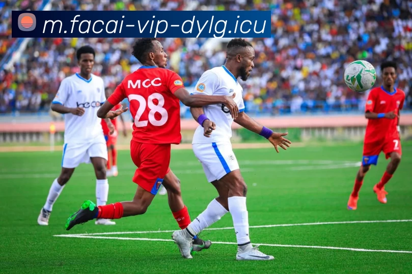 乐鱼体育APP 封面图